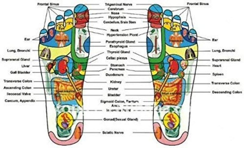 Acupressure Slippers, Reflexology Sandals